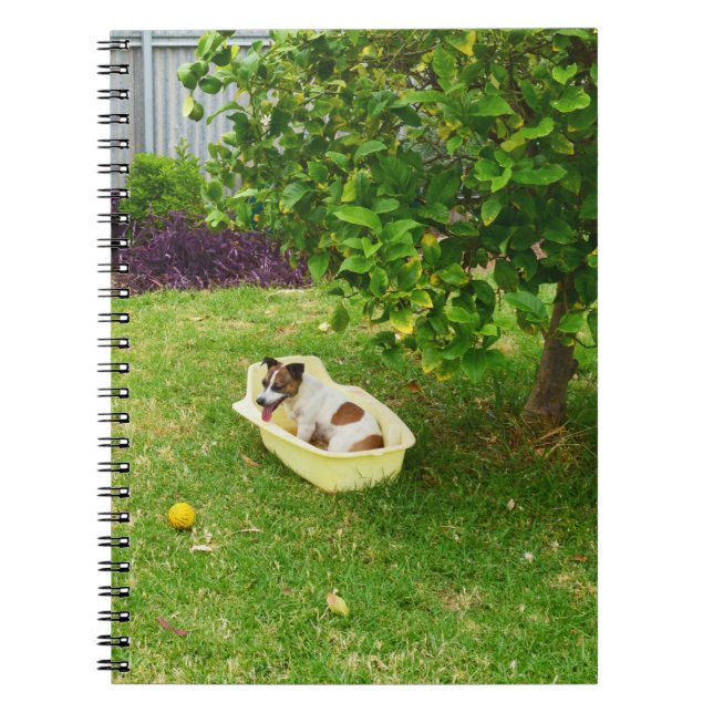 Caderno Espiral Charlie The Fox Terrier Bath Time, Notebook (Frente)