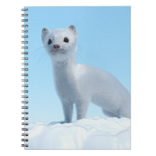 Caderno Espiral Charme de Doninha do Ártico