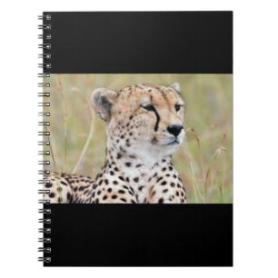 Caderno Espiral Cheetah