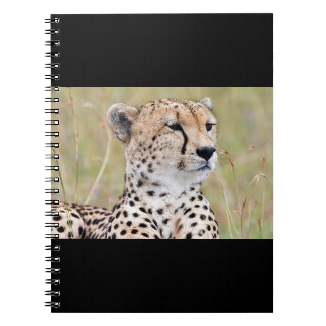Caderno Espiral Cheetah (Frente)