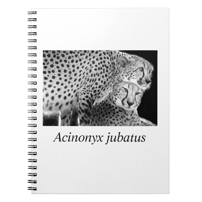 Caderno Espiral Cheetah#1 (Frente)