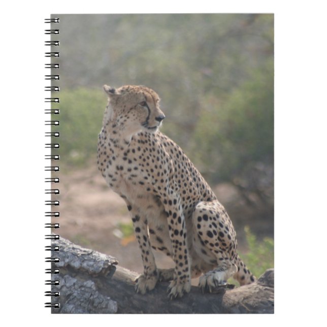Caderno Espiral Cheetah sentado numa árvore caída na natureza (Frente)
