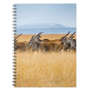 CADERNO ESPIRAL CHEFE DE ANTÁTEIS NO CAMPO DE GRAU