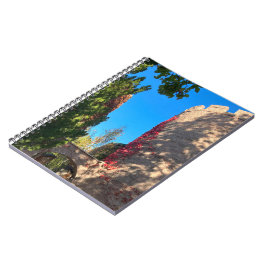 Caderno Espiral Chegando ao Forte