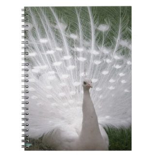 Caderno Espiral Cheio de Pavão branco (Peafowl)