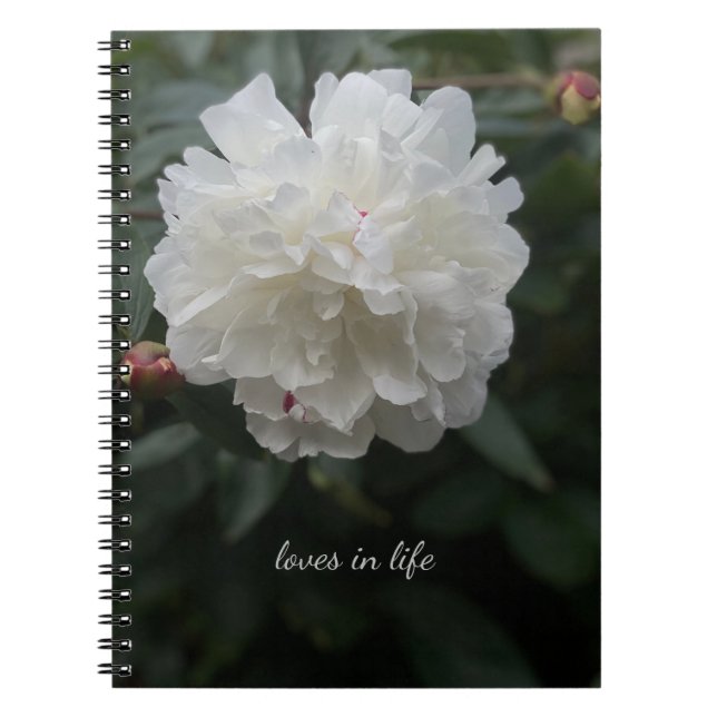 Caderno Espiral Cheio White Peony (Frente)