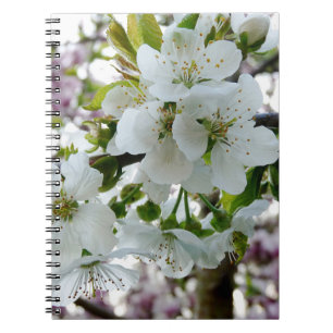 Caderno Espiral Cherry Blossom