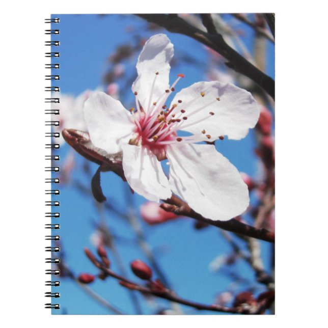 Caderno Espiral Cherry Blossom 2 (Frente)