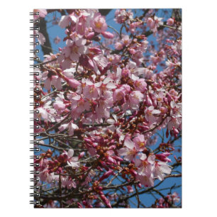 Caderno Espiral Cherry Blossoms e Blue Sky Primavera Floral
