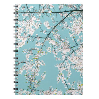 Caderno Espiral Cherry Blossoms: Tendência Floral Turquesa