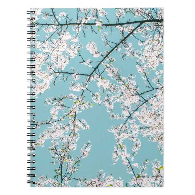 Caderno Espiral Cherry Blossoms: Tendência Floral Turquesa (Frente)