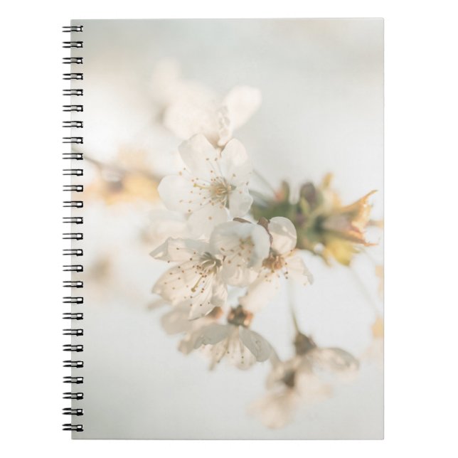 Caderno Espiral Cherry Nature Photo (Frente)