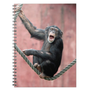 Caderno Espiral Chimpanzé 001