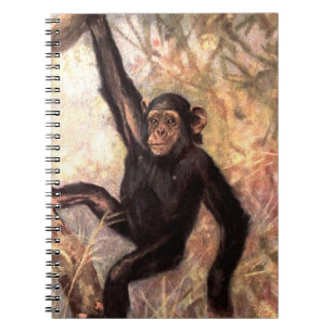 Caderno Espiral chimpanzeehangingintree002_original