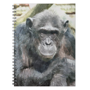 CADERNO ESPIRAL CHIMPANZÉS
