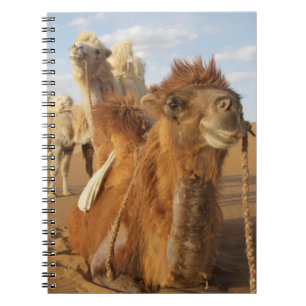 Caderno Espiral China, Mongólia Interior, Deserto Badain Jaran 2