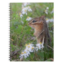 Caderno Espiral Chipmunk Adorável das flores