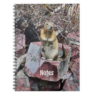 Caderno Espiral Chipmunk na Fotografia do Parque Nacional Glacier