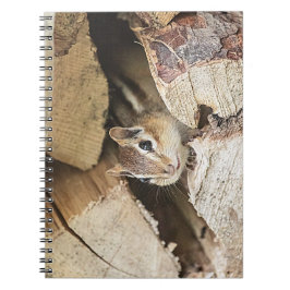 Caderno Espiral Chipmunk numa pilha de madeira