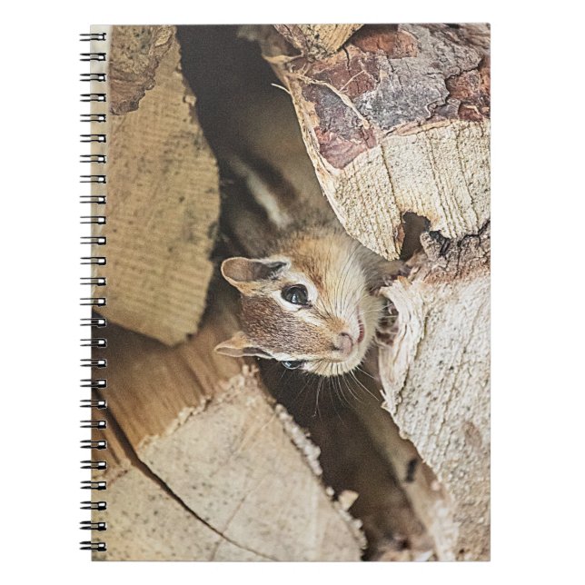 Caderno Espiral Chipmunk numa pilha de madeira (Frente)