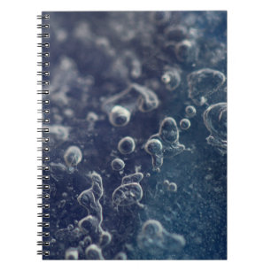 Caderno Espiral Choceradská