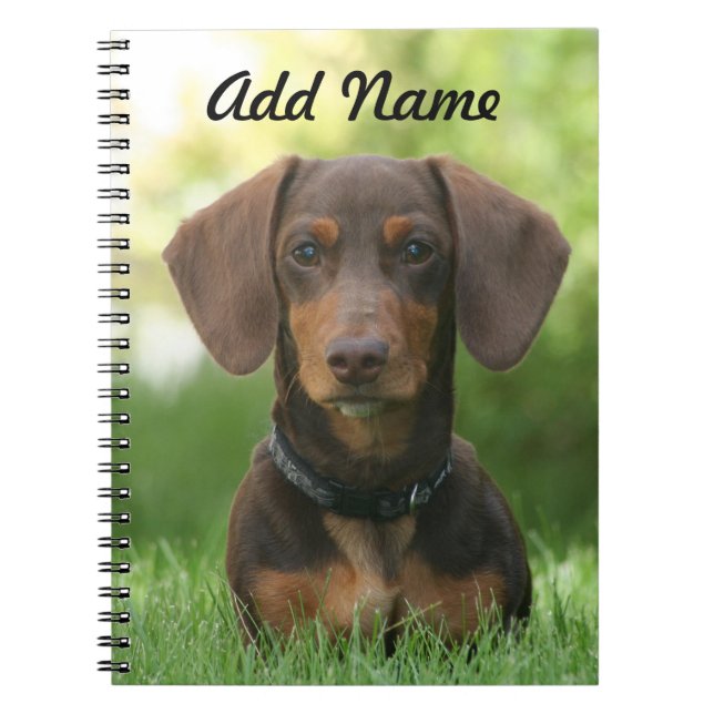 Caderno Espiral Chocolate Personalizado e Tan Dachshund - Doxie (Frente)