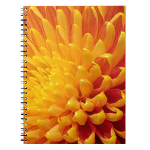 Caderno Espiral Chrysanthemum Amarelo e Laranja