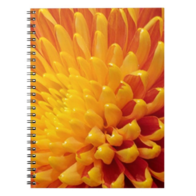 Caderno Espiral Chrysanthemum Amarelo e Laranja (Frente)