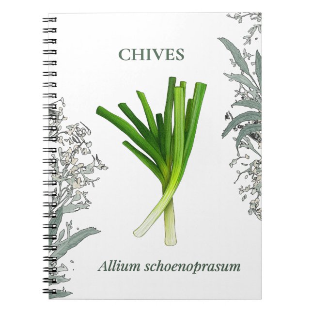 Caderno Espiral Ciboulette — Allium schoenoprasum (Frente)
