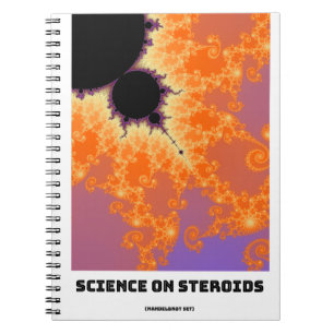 Caderno Espiral Ciência Em Esteroides Mandelbrot Fractal