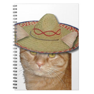 Caderno Espiral Cinco de Gato