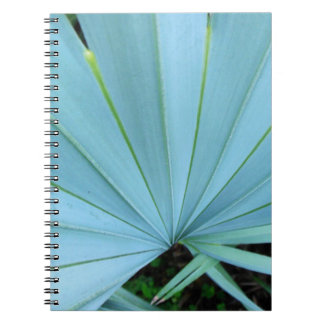 Caderno Espiral Cinza Bismarck Palm Tree Close