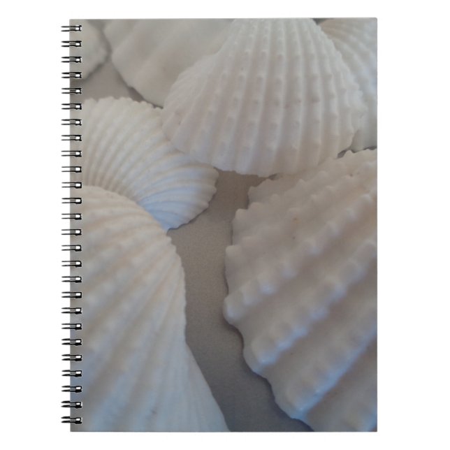 Caderno Espiral Cinza Branca, Conchas, Sea Shell Summer Beach Love (Frente)