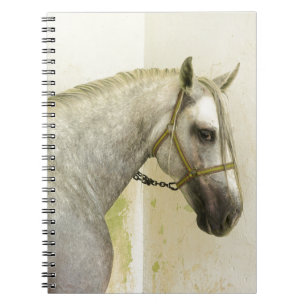 Caderno Espiral Cinza de ananás Cavalo Andaluz