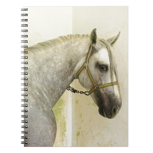 Caderno Espiral Cinza de ananás Cavalo Andaluz (Frente)