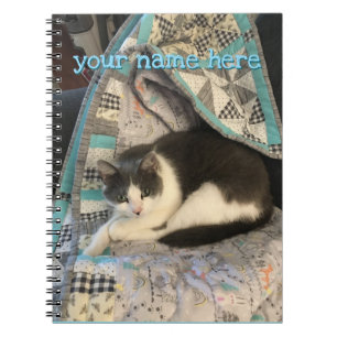 Caderno Espiral Cinza e gato branco