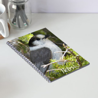 Caderno Espiral Cinza e White Canada Jay Photo