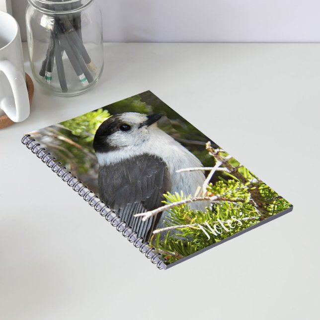 Caderno Espiral Cinza e White Canada Jay Photo (In Situ)