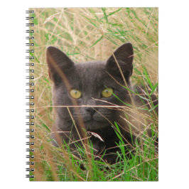 Caderno Espiral Cinza Escuro, Gato, de Grama Alta