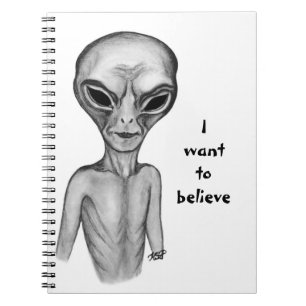 Caderno Espiral Cinza, quero acreditar