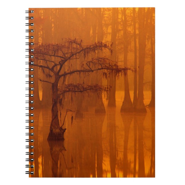Caderno Espiral Ciprestes | Parque Estadual George Smith (Frente)