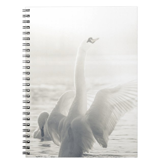 Caderno Espiral Cisne Branco (Frente)