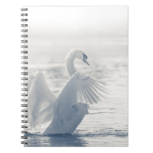 Caderno Espiral Cisne Branco
