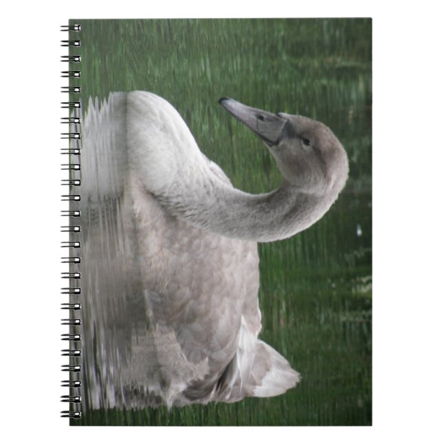Caderno Espiral Cisne Gracioso no Notebook Água (Frente)