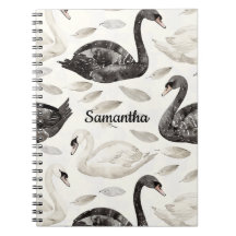 Cisnes brancas pretas