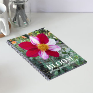 Caderno Espiral Citar Floral Floresça Onde Você Está Plantada