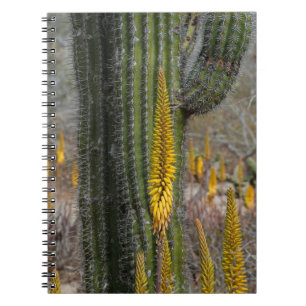 Caderno Espiral Close de Cacto e Agave