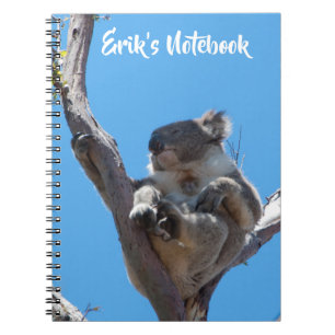 Caderno Espiral Coala Fofo Dormindo em uma Árvore Austrália