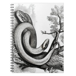 Caderno Espiral Cobras