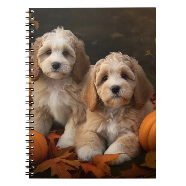 Caderno Espiral Cockapoo Puppy Autumn Delight Pumpkin (Frente)